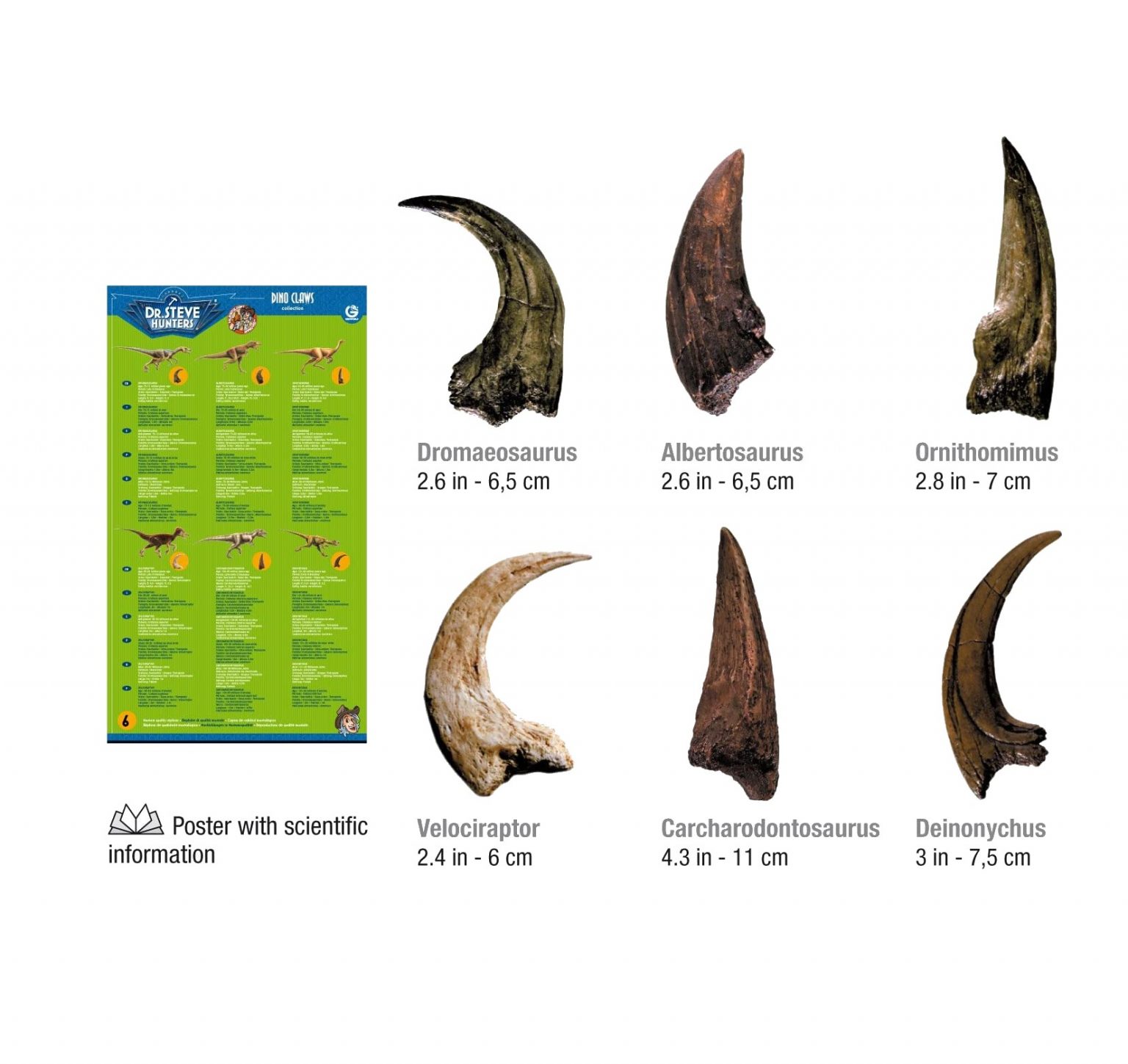 Dinosaur Claws Set Jurassic Jacks Fossil Shack