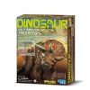 Dinosaur Sponges – Jurassic Jacks Fossil Shack