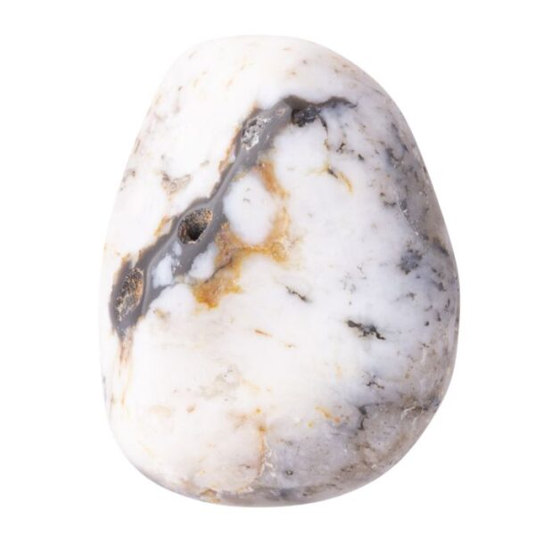 Dendrite Agate